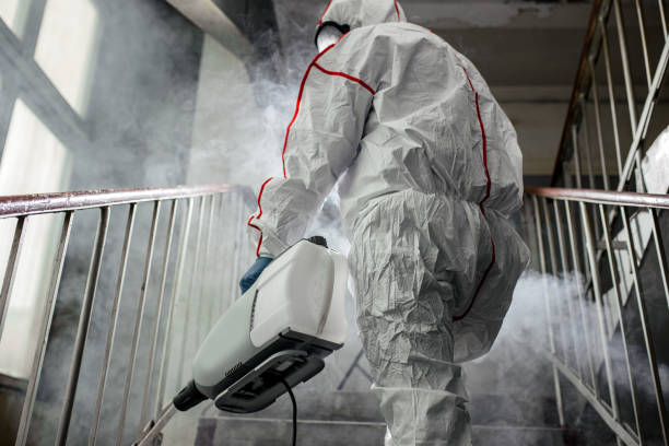 Pierceton, IN Mold Removal Company